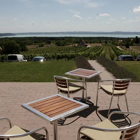 Fuerjes Udvarhaz Guest house Vaszoly