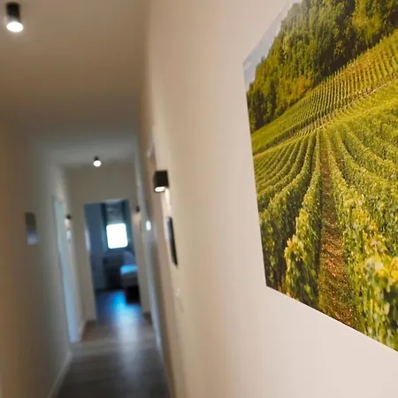 Fuerjes Udvarhaz Guest house
