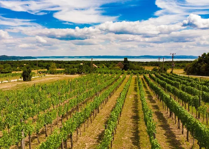 Fuerjes Udvarhaz Гостевой дом