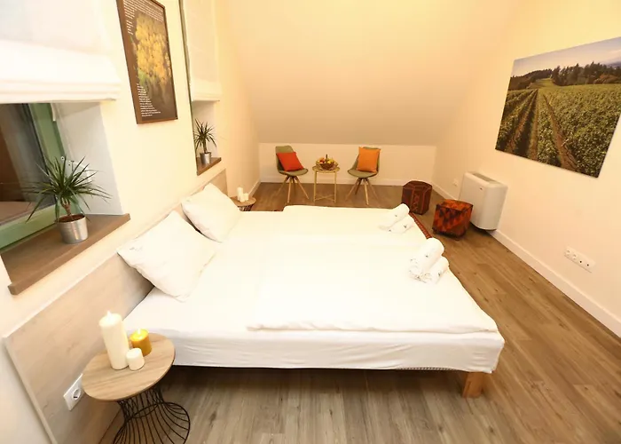 Pensionat Fuerjes Udvarhaz 3*